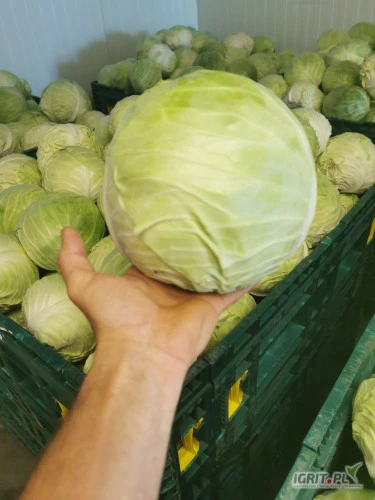 /images/posts/2024/07/1880259/OI8HmJygPvOM8bhOp4W4oArX09HuMspKhExLaoxQ.jpeg