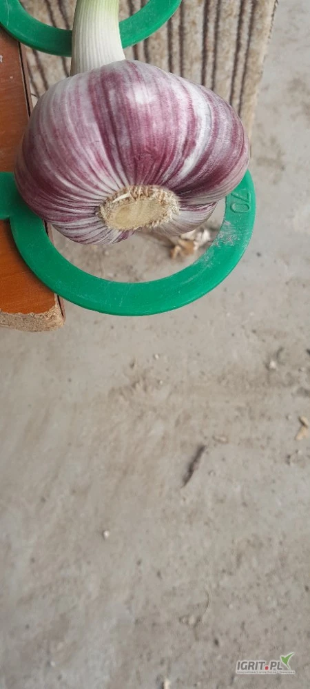 /images/posts/2025/07/2033164/oAj1TWDTYtiKJ7JjiKWqRRjFTnlikw5DjmBBDsDe.jpeg