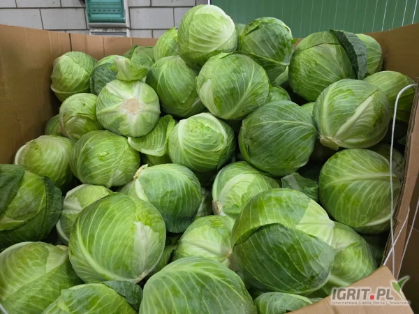 /images/posts/2025/07/2033230/cp1eqV7L0NuqExscMplSh4d4HoyYMsm3NaZp1SPh.jpeg