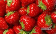 Sprzedam naturalny sok NFC z truskawki, beczka 210 kg, dostepne też są worki bag in box po 5 litrów