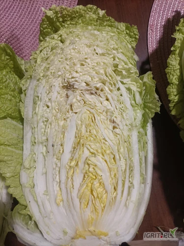 /images/posts/2024/12/1948352/LUOVrDruV967BeJRJzntKgkM21Av4xEB1N7RjyT1.jpeg