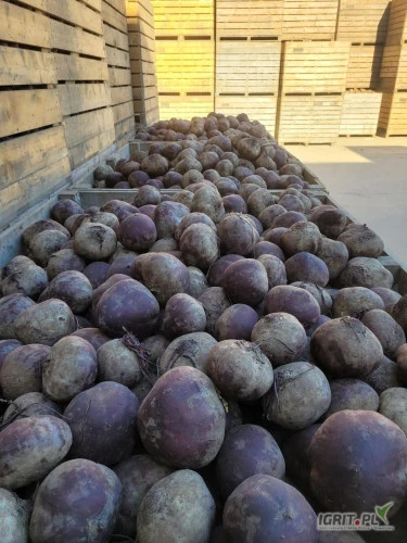 /images/posts/2024/10/1926588/CTwkzf0fhMs5Rvvgkjj6CDDfZMYO0cEbmXEHJUTU.jpeg