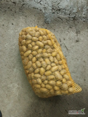 /images/posts/2024/12/1946539/GqV86aseB6jy341ZGMBybbCJKHwrYRvtOTYhHnGT.jpeg