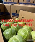 I AM SELLING FRESH WHITE AND RED CABBAGE, PLEASE CONTACT ME BY PHONE OR WHATSAPP 
