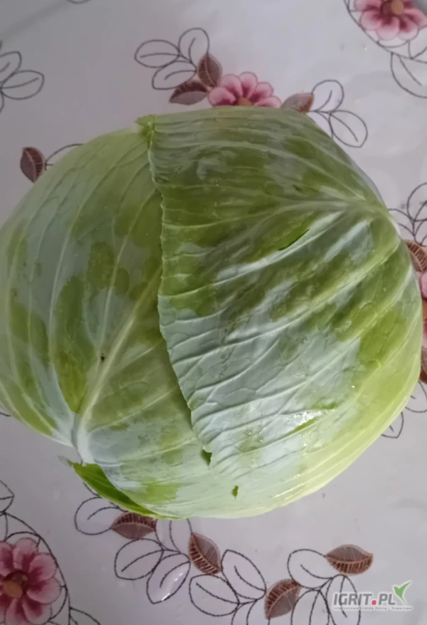 /images/posts/2025/07/2033660/oL7Hq16gO3Y2MxSyiKiORu2YZgEKW98pV1IE1g5d.jpeg