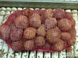 Buraczek czerwony odm boro, Kal. 5-10 w bb, skrzyniopalecie lub w worku. Kilka ton tygodniowo. 607-300-635