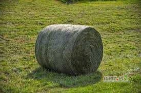 /images/posts/2025/07/2034000/yOGeRXso68fV7sTXYozaPcDEoGS97t8SkDBXiofS.jpeg
