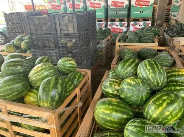 /images/posts/2025/07/2034044/yeU05bPXoVoWJdFUXza0LDJi75b72YldQKlCK4TG.jpeg