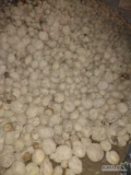 Sprzedam ziemniaki paszowe około 2 ton. Ziemniaki spakowane w worki po 30 kg przebierane ręcznie bez kamieni i pacyn. 
