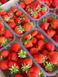 Sprzedam truskawki deserowe z rynny. Punetki 500 g lub kobiałki 2 kg (ew. tekturowe 1 kg). Certyfikat  i . 
