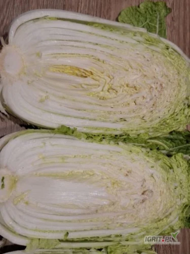 /images/posts/2025/01/1965291/oFmdfMeKlgsyFQDM93le4AgyW6feUtvcGjI9pO7l.jpeg