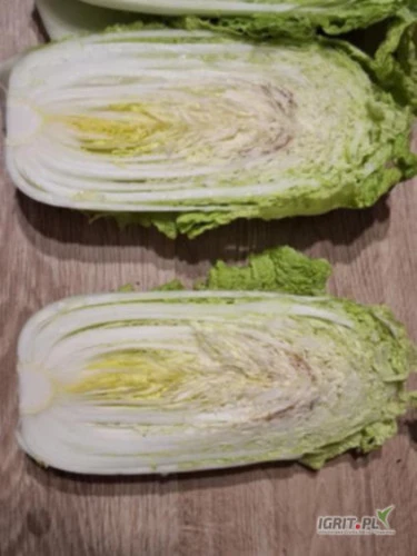 /images/posts/2025/01/1965291/E59EAqzFljyLhvfSzCFurx7toIkGugdMXQQaVDpF.jpeg