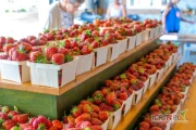 Oferta sprzedaży i truskawy jakościowe na rynku
