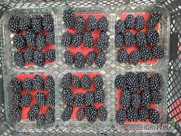 /images/posts/2025/07/2034300/NTI2SntJ7fVziGZ1KfDp2fbRZ6oIyU21VjjquFT9.jpeg