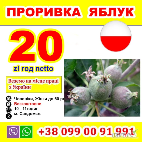 /images/posts/2025/07/2034455/q182kUCBk3Mz41OmhJMLSgvyR8uJFu1GOud6wmR4.jpeg