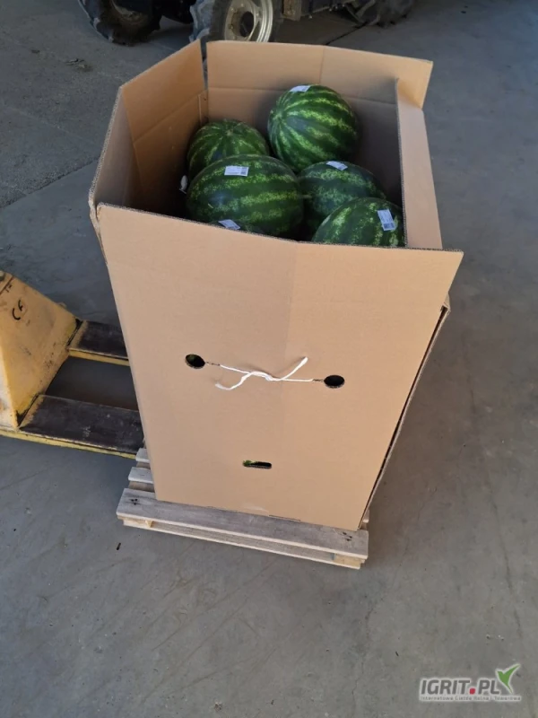 /images/posts/2025/07/2034494/V0nApHv1r82BvHWDdhepwA4W7XBSTErzinarX8GF.jpeg