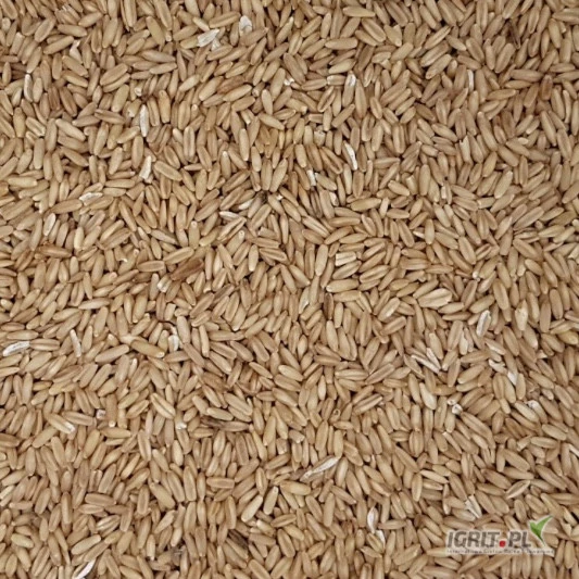 /images/posts/2025/07/2034510/C43NP3gEEF8BsQyBMqWF8DlEd0LDAnxlnMvbcfgM.jpeg