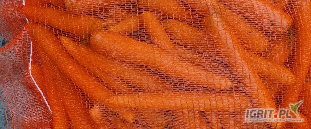 /images/posts/2025/07/2034570/j35TDOHUPoOJ4TBVkzglcp35b0oRnZN2UwEw7wJN.jpeg