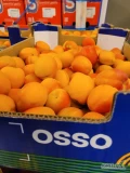 Morela 5 kg  Hiszpania - świeża dostawa Katowice
