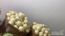 Witam posiadam do sprzedania około 5 t kapusty naszykowanej w Karton box od ręki cena do uzgodnienia zapraszam do kontaktu
