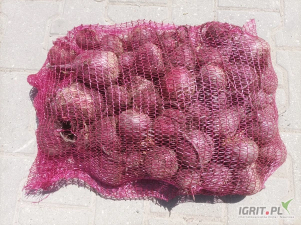 /images/posts/2025/07/2034761/TiZxD8WH0yrZGuS2oCxqnz7zQ5M5055v4lsSlruU.jpeg