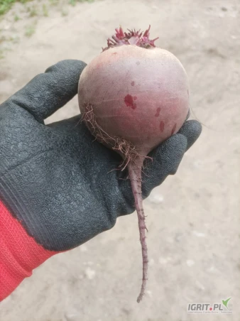 #