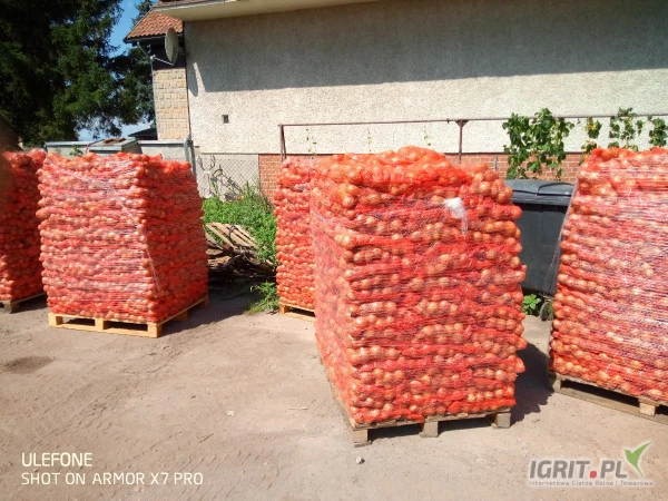 /images/posts/2024/07/1886326/IzNYi11LI9WdtVXngG6FTtq46fPZEryGGe0U6lcS.jpeg