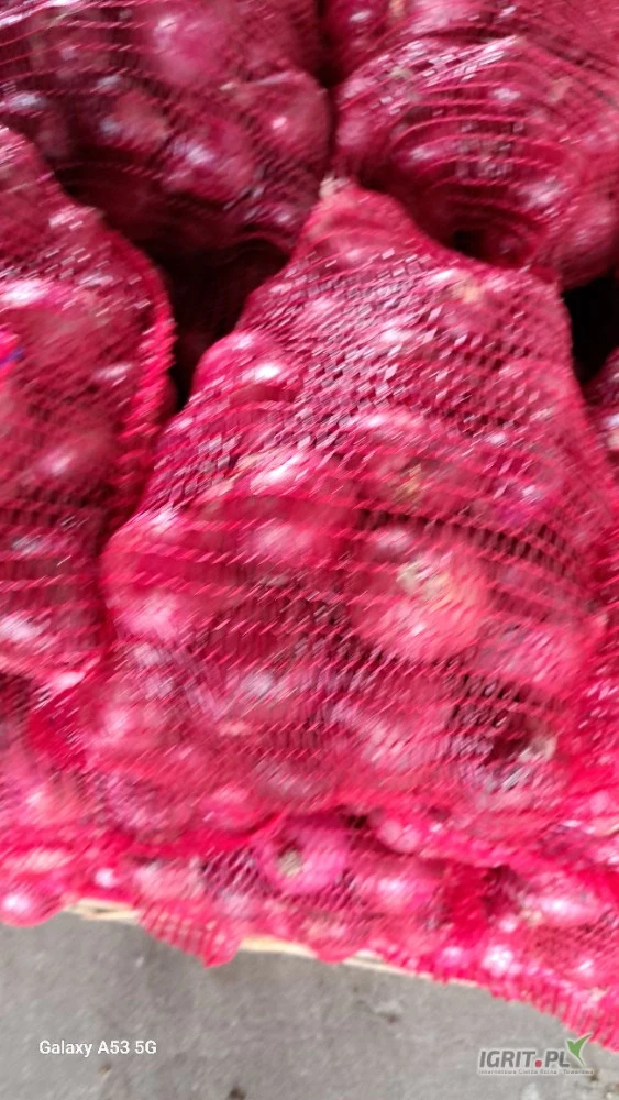 /images/posts/2025/07/2034925/hRpTfAm9FwCDIfYclqux5t9rIOKupZpv1SbtysLU.jpeg