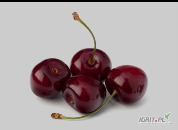 /images/posts/2025/07/2035035/0JpI7dEdVRM549marcVJM0OmqIsADTjde2i4TL7f.jpeg