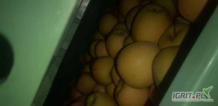 /images/posts/2025/07/2035136/obc4QUu2qEmoi4fyJtAP9X9eoEYnIg3OQuf5YFF7.jpeg