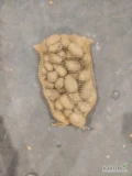 Witam sprzedam ziemniaki Jurek Quaan Anna pakowane w worek 15 kg oraz Cebule pakowane w worek Lenko 