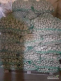 Sprzedam ziemniaki odpadowe. Czyste , bez zgniłych i kamieni. Spakowane we worki po 25 kg. Dostępne 3000 kg. Możliwość transportu. 