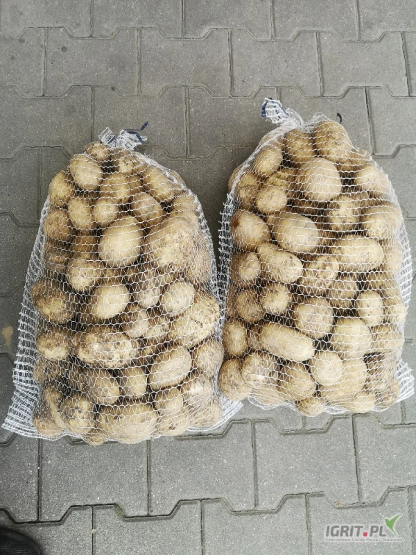 /images/posts/2025/07/2031089/8JvTsrNaqul223BbDesyoziZYLiPu7B2xhHn52ah.jpeg