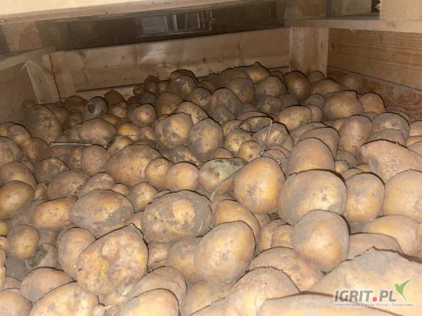 /images/posts/2024/12/1953903/MUeWKVl1lOFYrCDNmgOTY4fITq7QXIHsOUoIHqys.jpeg