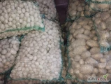Witam sprzedam 3,3t ziemniaków odpadowych pakowane w worki 30kg.