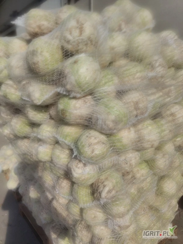 /images/posts/2025/07/2036128/7UWw5k7dlWf4AIjdvQ0J1LavBs2SgaJyiWDXdHeJ.jpeg