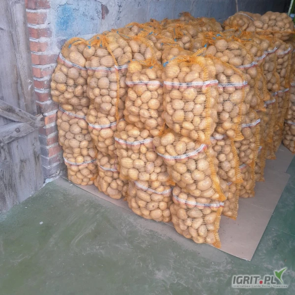 /images/posts/2025/07/2036144/WxvE3I5EbHPexsaG6wx5mZM7l5KM9JmkEQXqq5jY.jpeg
