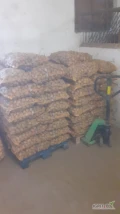 Sprzedam ziemniaki odmiany Ranomi w kalibrze sadzeniaka. Ziemniak w 2023 roku brany z centrali nasiennej. Ilość 180 worków/15 kg. Cena 20...