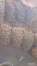 Sprzedam ziemniaki paszowe. Ilość ok 1 tona. Pakowane w worki po 30 kg. Cena 10 zł/worek do negocjacji.