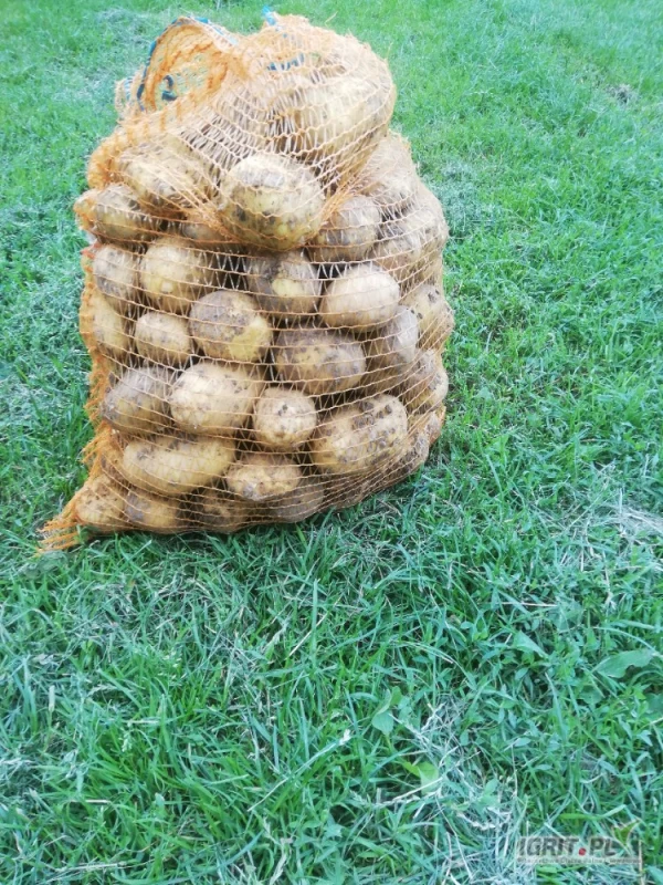 /images/posts/2025/07/2036183/01R0vyJealotAAjYDgACdTjmfZl9RbfljwMjrzzB.jpeg