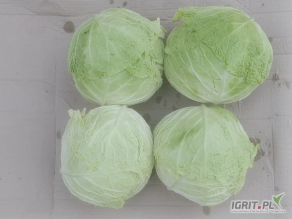 /images/posts/2025/07/2036455/bpwnZJ5kUMAp3mmAr1uh9z3sjkeCpF2M4XG3xOha.jpeg