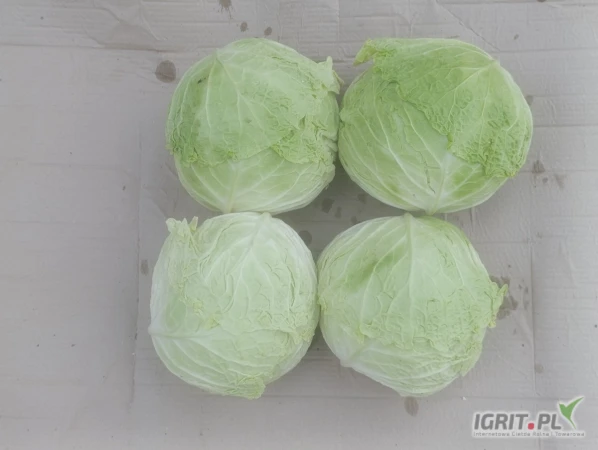 /images/posts/2025/07/2036455/JbeLnHgvLXz3DFr4mhELEroqq3CVr3JSRbXkiY49.jpeg