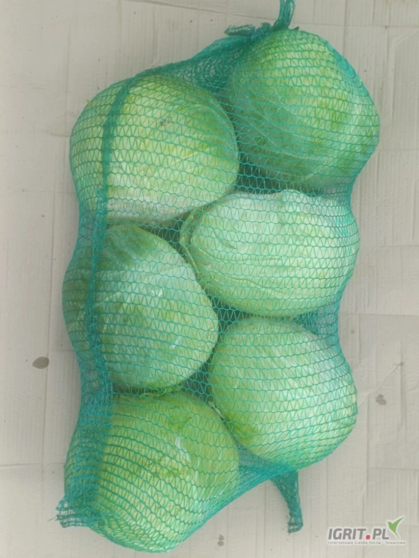 /images/posts/2025/07/2036455/9RC72JfAiqY10yYO7qvFrFt59QcY2Eg9ZhyUladL.jpeg