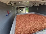 Sprzedam mokrą pestkę wiśni. W kistenach po 400 kg. Cena za kisten 200 PLN