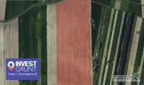 [11,60 ha] grunty rolne przetarg nieograniczony na 3-letnią dzierżawę [powiat brzeziński woj. łódzkie] użytek RIII,RIV roczny...