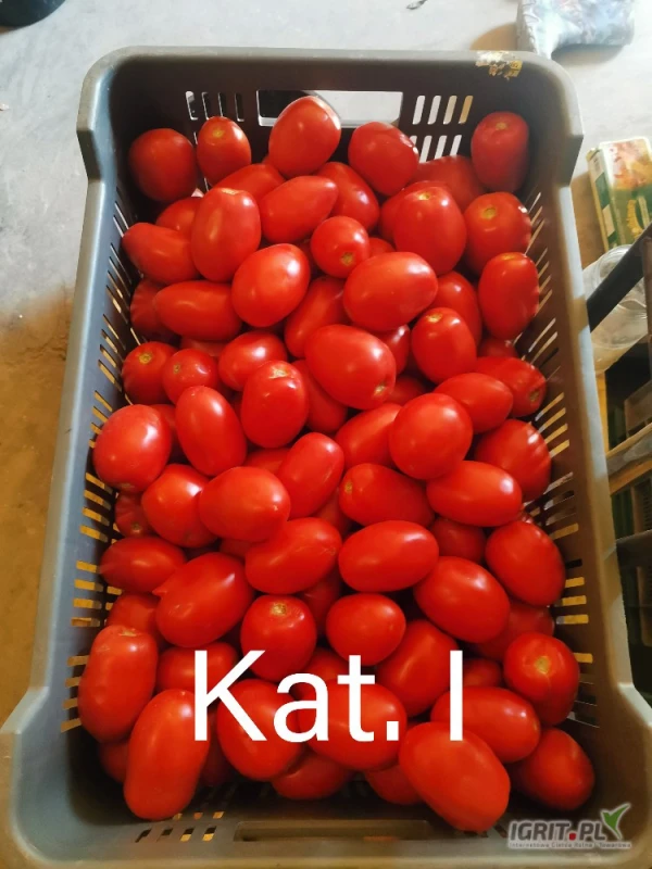 /images/posts/2025/07/2036712/GuBWdcxF50LdYdsDC5NYhMyBt4cZGth4zjFgv0gV.jpeg