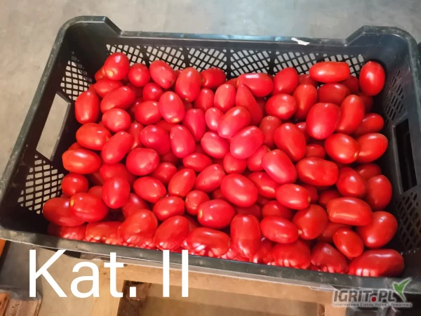 /images/posts/2025/07/2036712/xFDxsq2oMR0XxHlBEYuizFW21dFwYUh91EopQXxx.jpeg