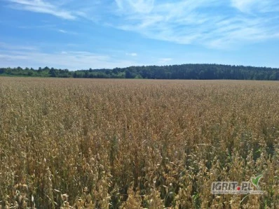 /images/posts/2025/07/2036732/fnfh9qWU8PoLcznHzI8IBxlIm5eZqrDzL4X1nX22.jpeg