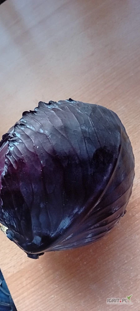 /images/posts/2025/07/2036764/Z38L3ewDOdF9GRdy6Dh9qRNPGPHnG2a9koLhdqKM.jpeg