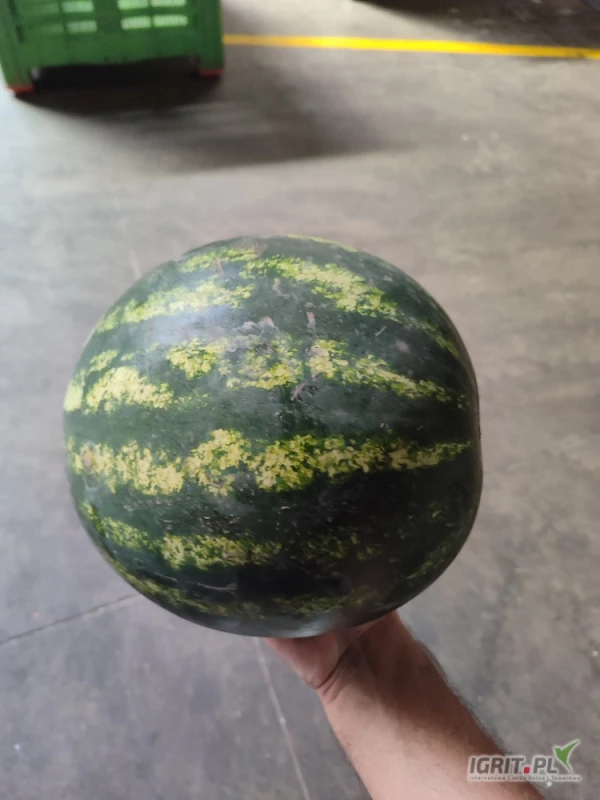 /images/posts/2025/07/2037444/dMrsjqxRwv0c3c9ILiDZ9mfLNMoKlEuL43fTGHvQ.jpeg